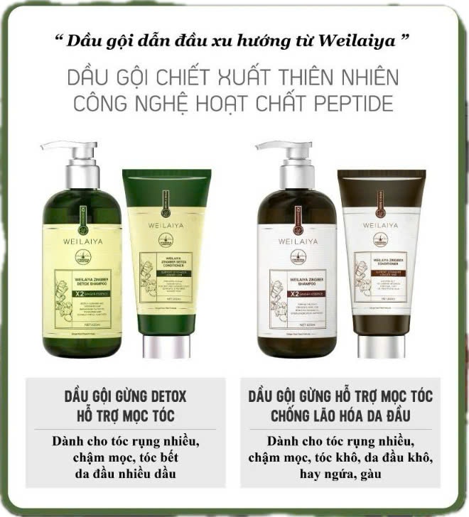 Cặp gội xả Weilaiya GỪNG Luxury