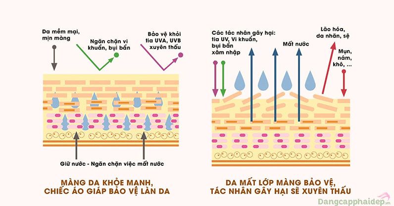 công dụng