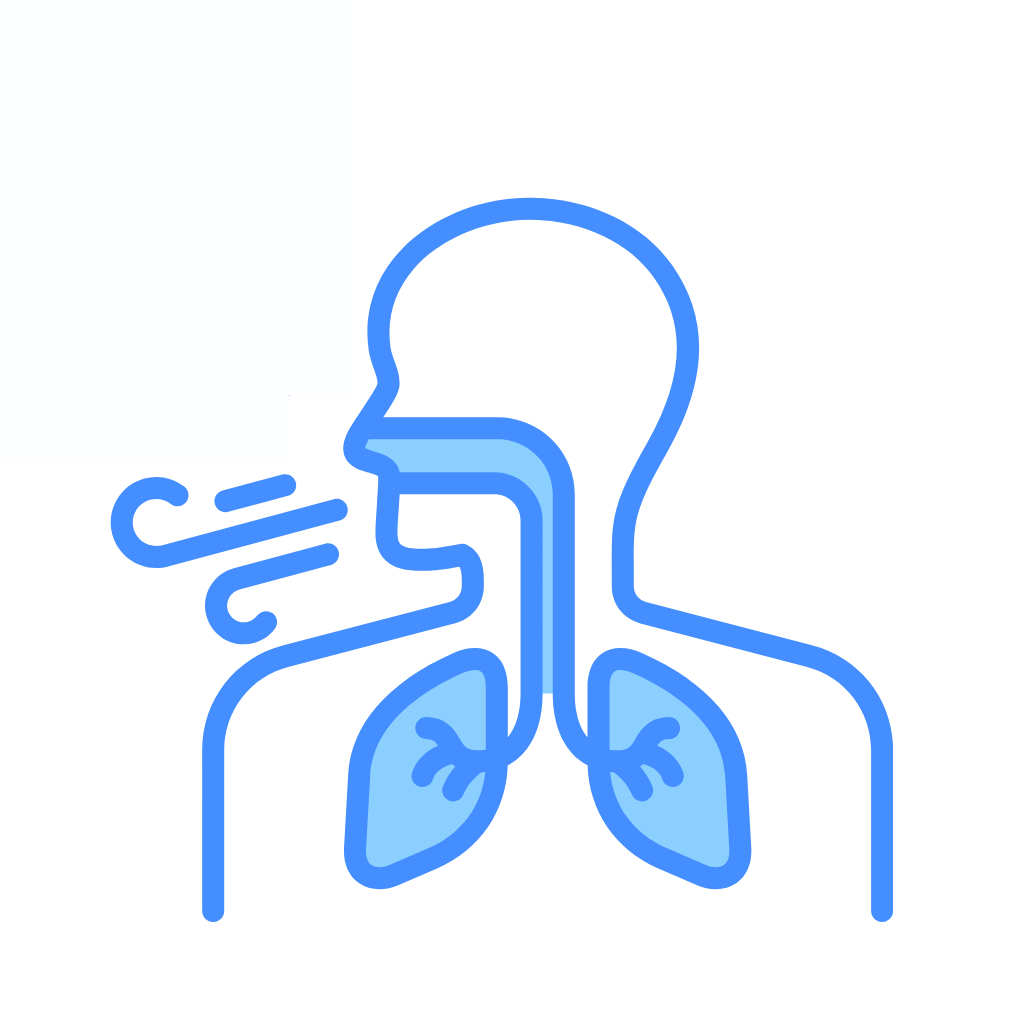 Hô hấp, ho, xoang