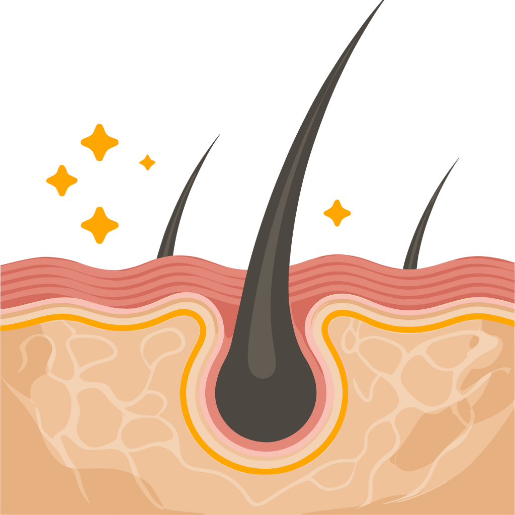 Chăm Sóc Tóc - Da Đầu