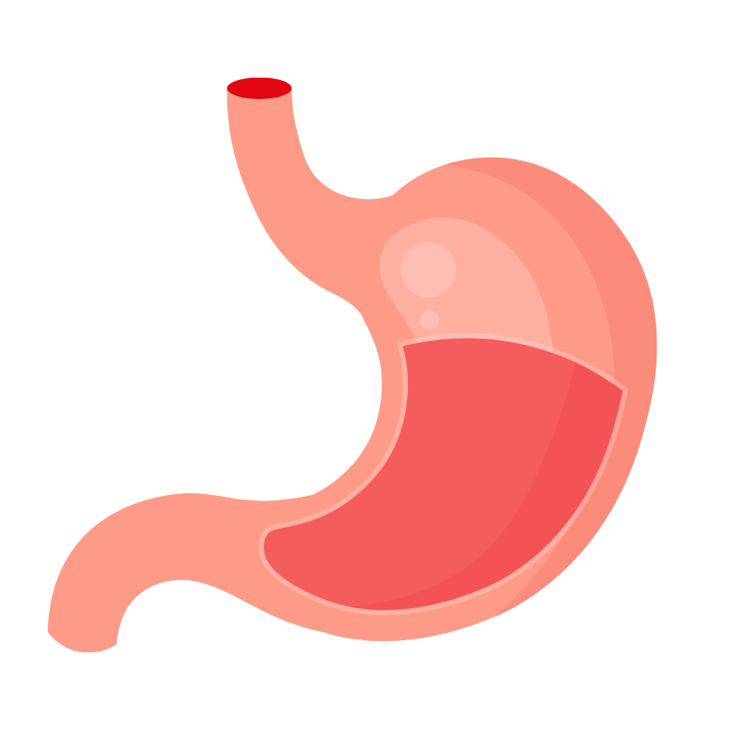 Hỗ trợ tiêu hóa