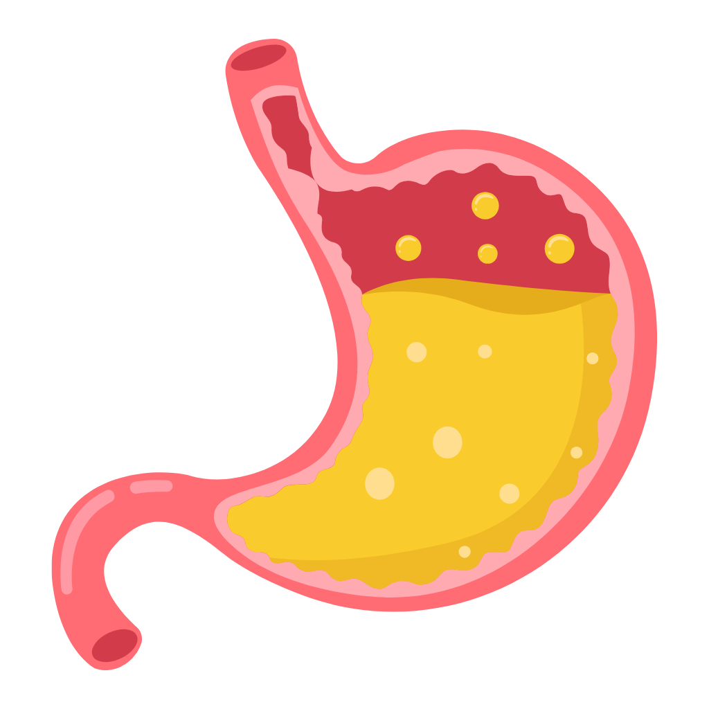 Dạ dày, tá tràng