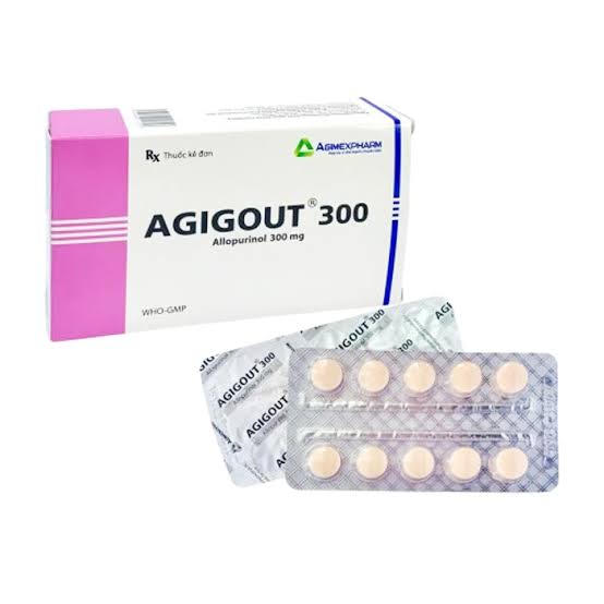 Agigout 300  Agimexpharm (50 viên).jfif