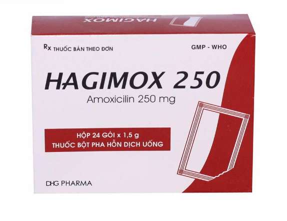 Bột Hagimox 250 DHG điều trị nhiễm khuẩn (24 gói).webp