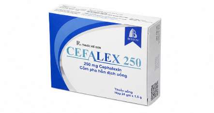 Cefalex 250 - Boston (24 gói).jpg