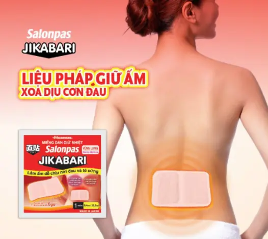 Dan-giu-nhiet-Salonpas-jikibari-1-mieng-le.webp