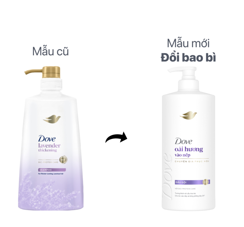 Ảnh chụp màn hình 2026-03-04 104007.png