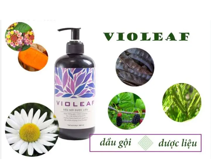 Dầu gội Dược liệu Violeaf Thái Dương (Chai 480ml).jpg
