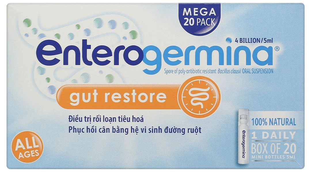 Men vi sinh Enterogermina Gut Restore (Hộp 20 ống x 5ml) – Phục hồi vi sinh, khỏe tiêu hóa.webp