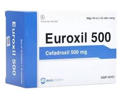 Euroxil 500 (Hộp 10 vỉ x 12 viên).jfif