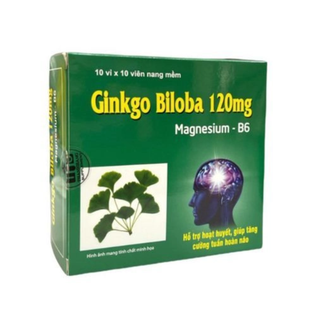 Ginkgo Biloba 120mg & Magnesium-B6 100 viên.png
