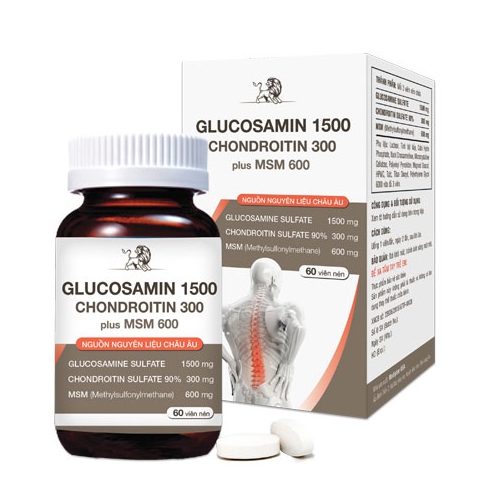 Glucosamin Mediphar USA.jpg