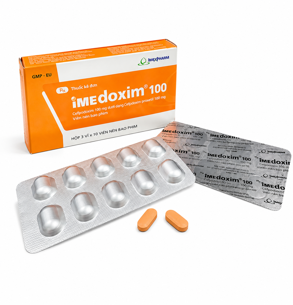 ChatGPT Image 15_59_26 5 thg 8, 2026.png