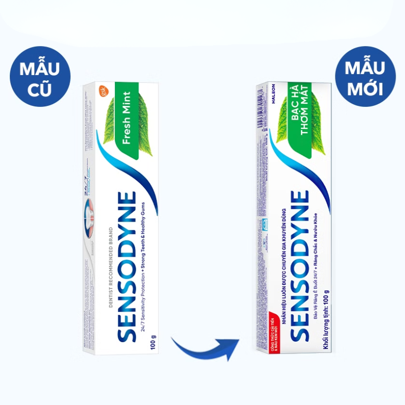 Ảnh chụp màn hình 2026-03-05 082646.png