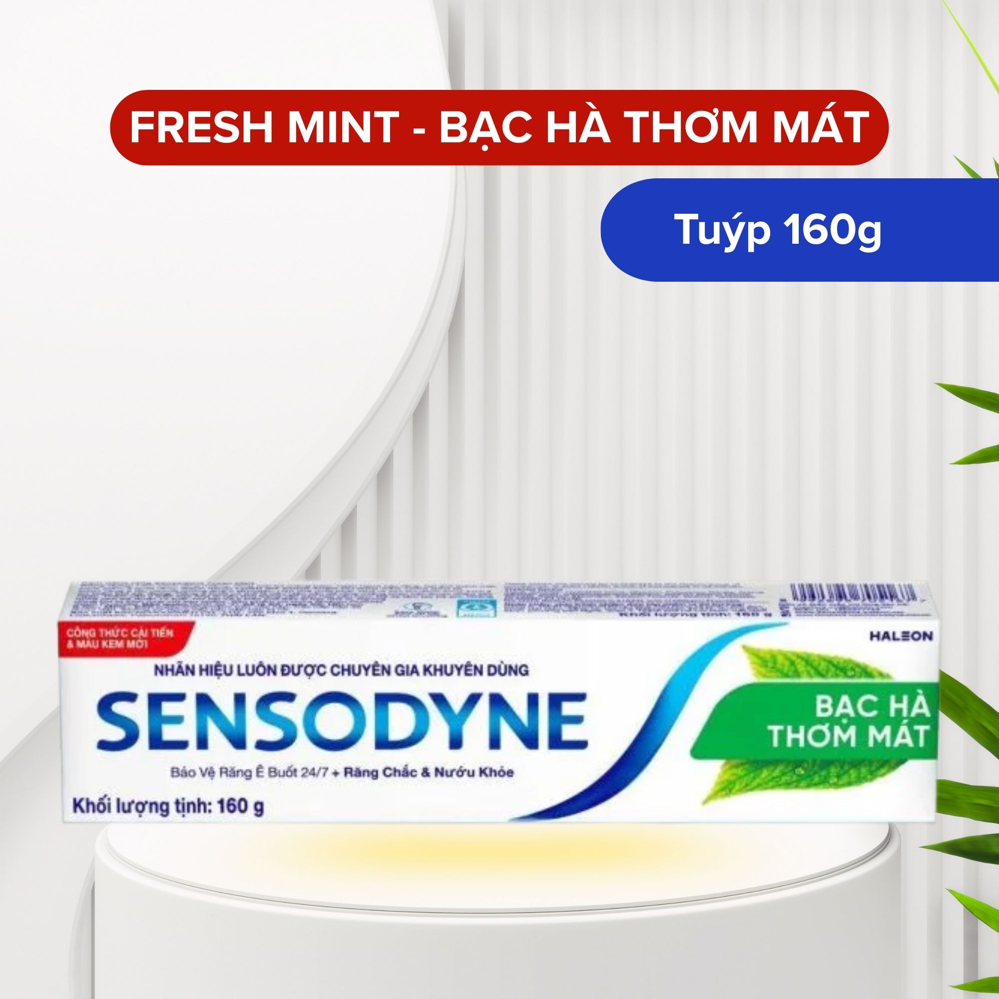 Ảnh chụp màn hình 2026-03-05 082646.png