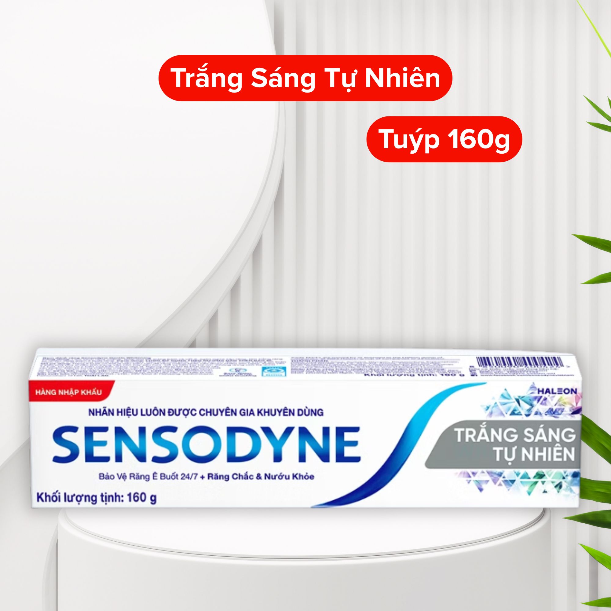 Thực phẩm chức năng Bộ não, Tăng trí nhớ (2).png