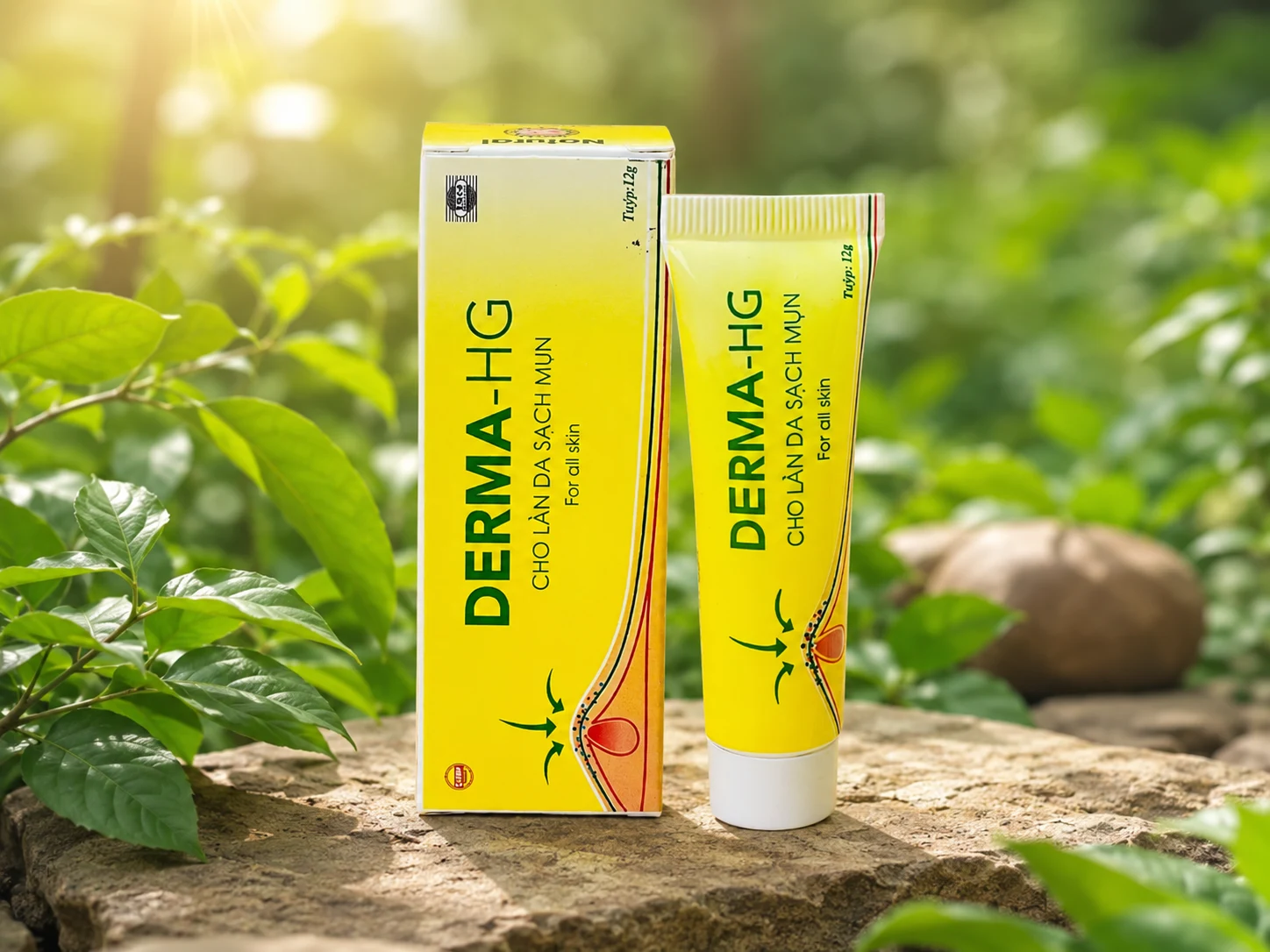 Kem-mun-Derma-HG-12g.webp
