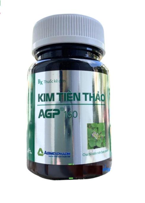 KIM TIỀN THẢO AGP 160.png