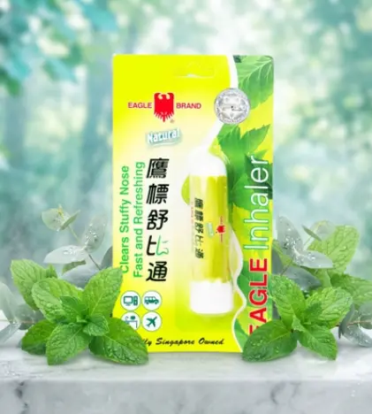 ong-hit-mui-singapore-eagle-inhaler.jpeg-1745081613761.jpg