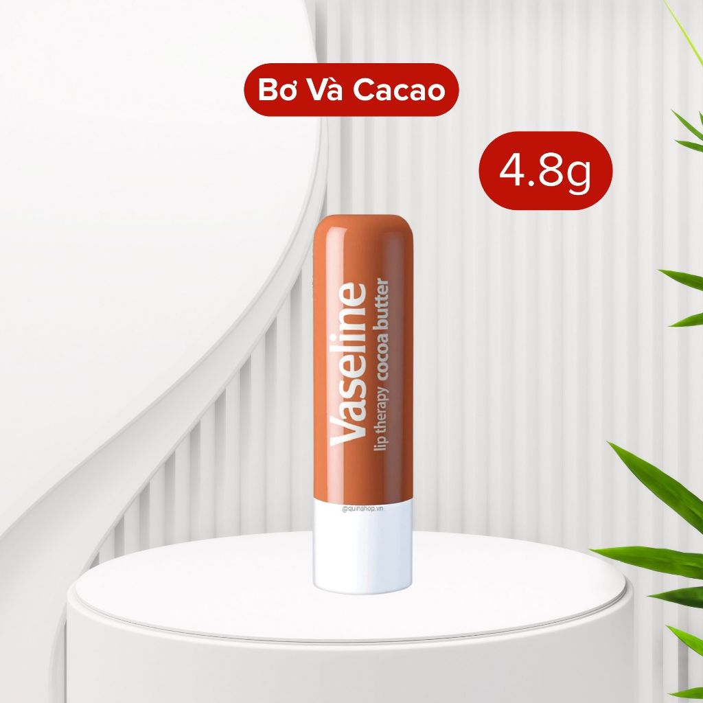 Son Dưỡng Môi VASELINE Lip Therapy 4.8g - Cocoa.jpg