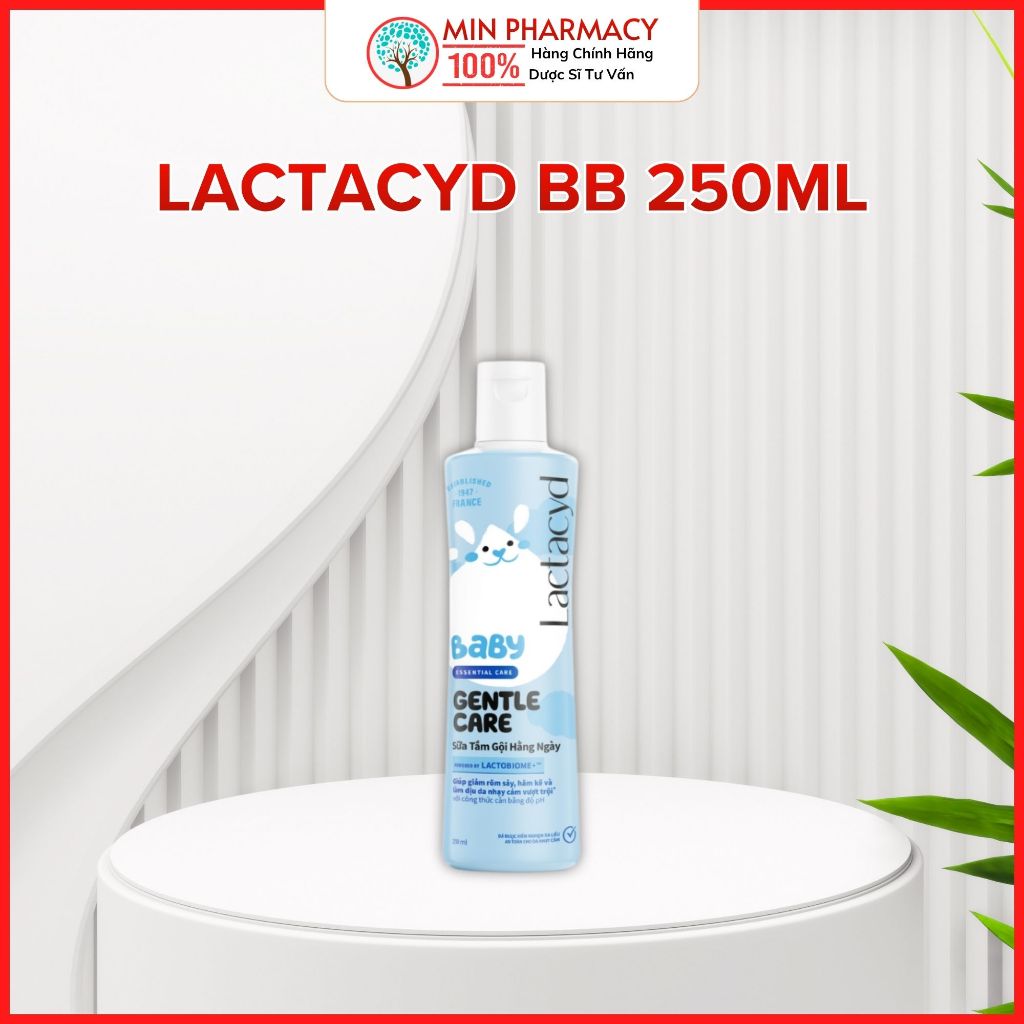 vn-11134207-7r98o-lym1885de8bl49-1725554740026.jpg