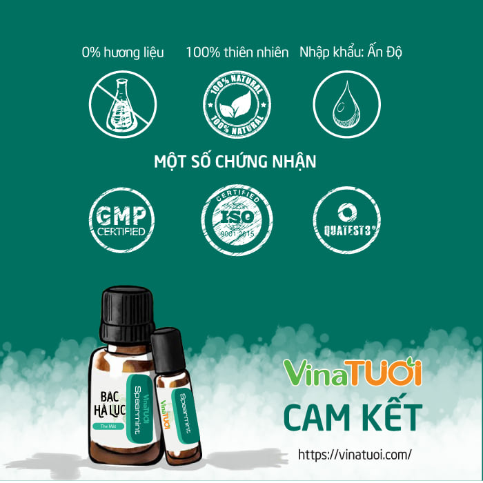 ChatGPT Image 14_35_31 16 thg 7, 2026.webp