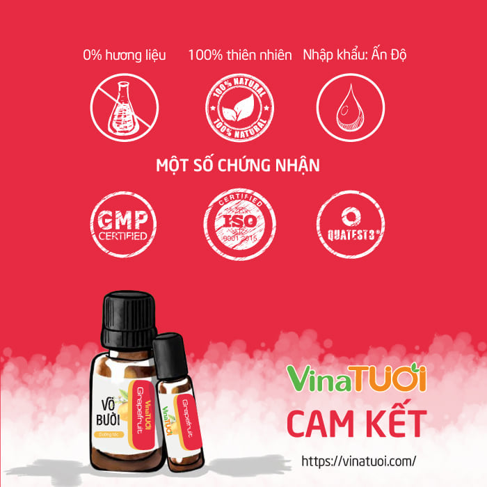 ChatGPT Image 14_51_48 16 thg 7, 2026.webp