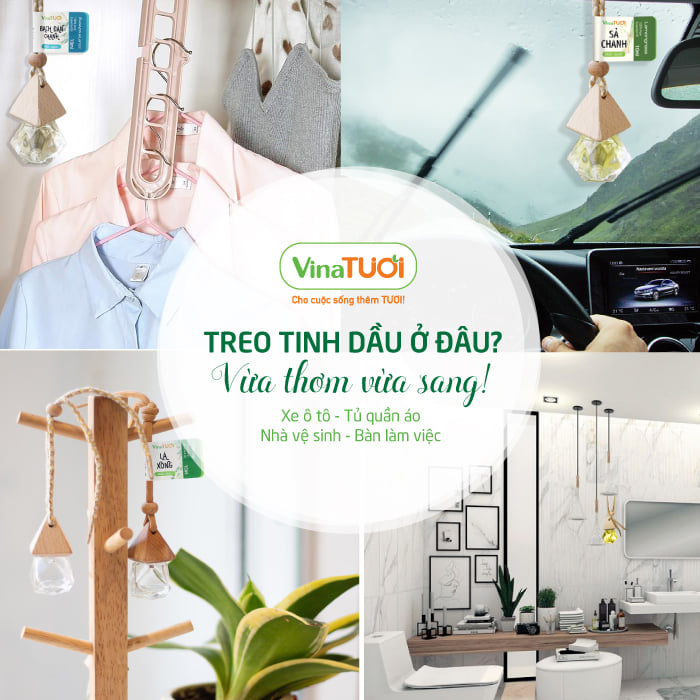 Tinh-Dau-Treo-Xe-O-To-Vina-Tuoi-10ml-Bac-ha.webp