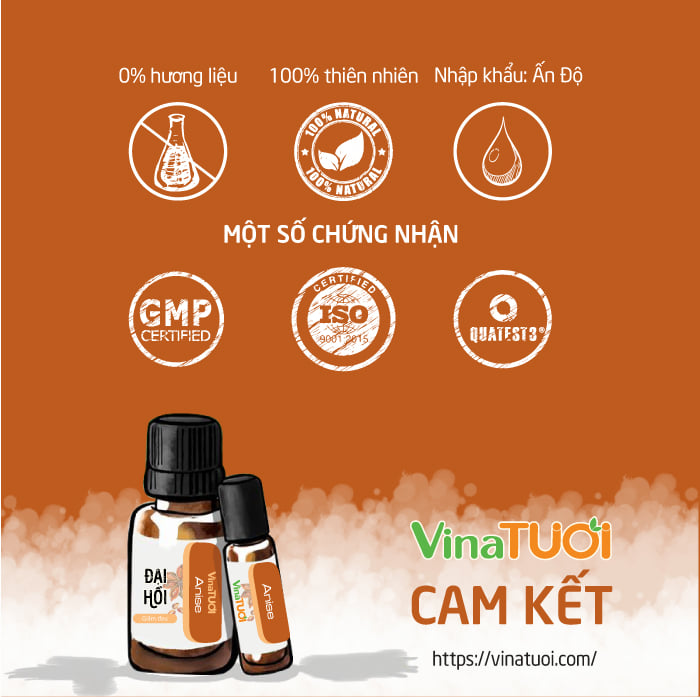 Tinh-dau-Dai-hoi-VNT-10ml.webp