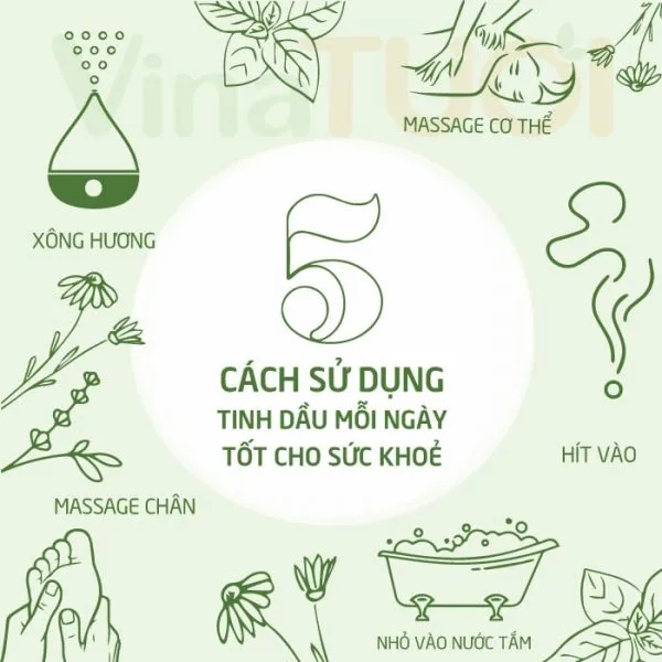 Tinh-dau-Hoa-lai-VNT-10ml (1).webp