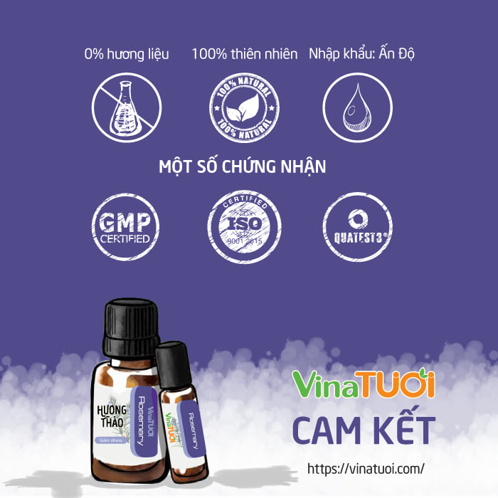 Tinh-dau-Huong-thao-VNT-10ml.webp