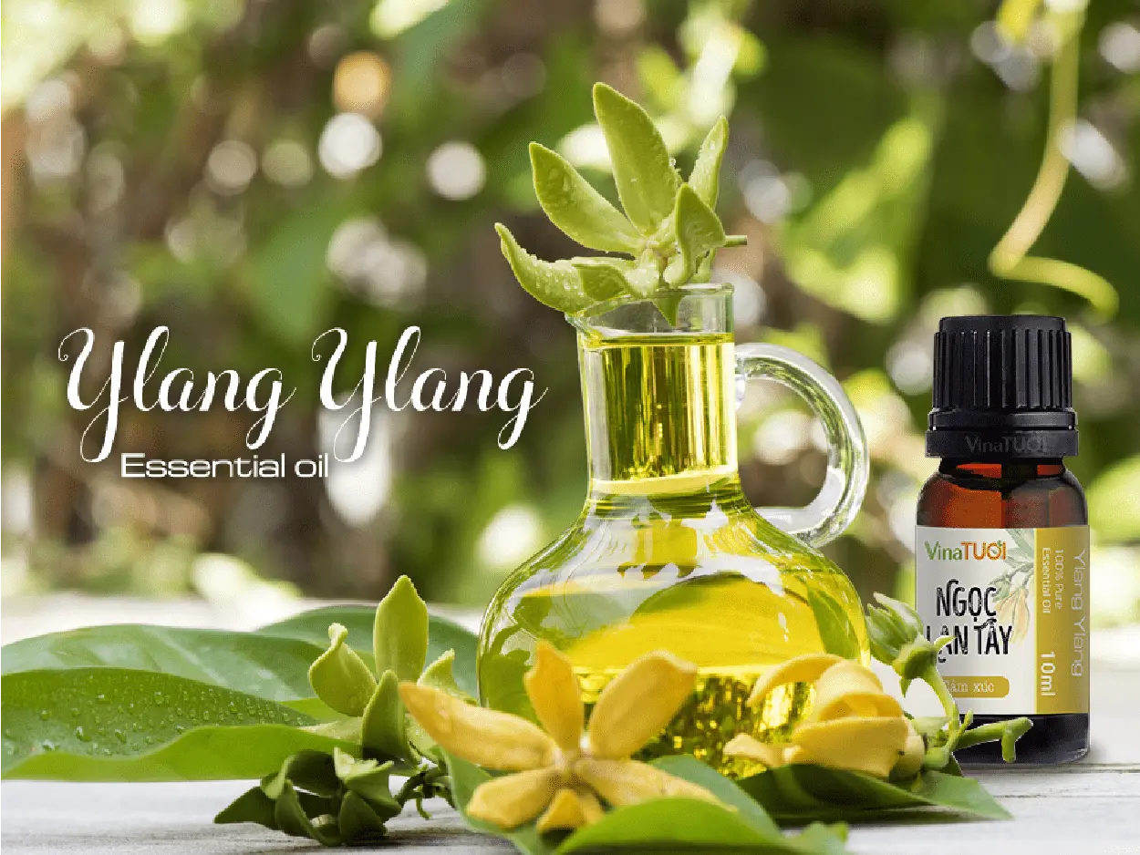 Tinh-dau-Ngoc-lan-tay-VNT-10ml.webp