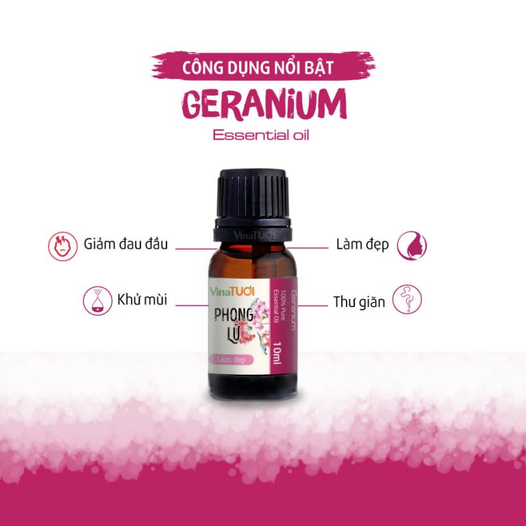 Tinh-dau-Phong-lu-VNT-10ml.webp