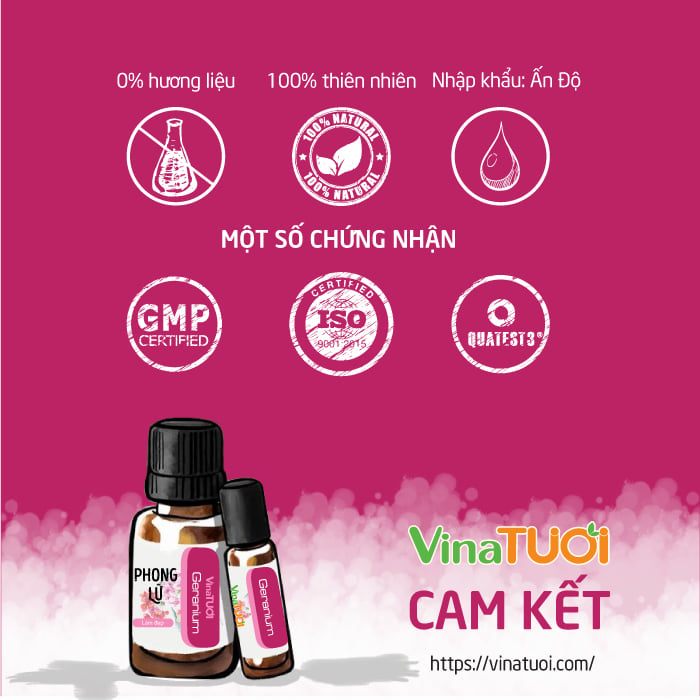 Tinh-dau-Phong-lu-VNT-10ml.webp