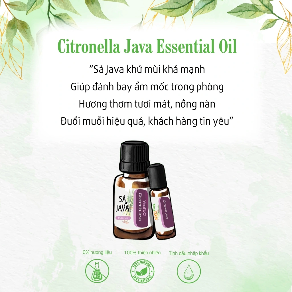 Tinh-dau-Sa-java-VNT-10ml (1).webp