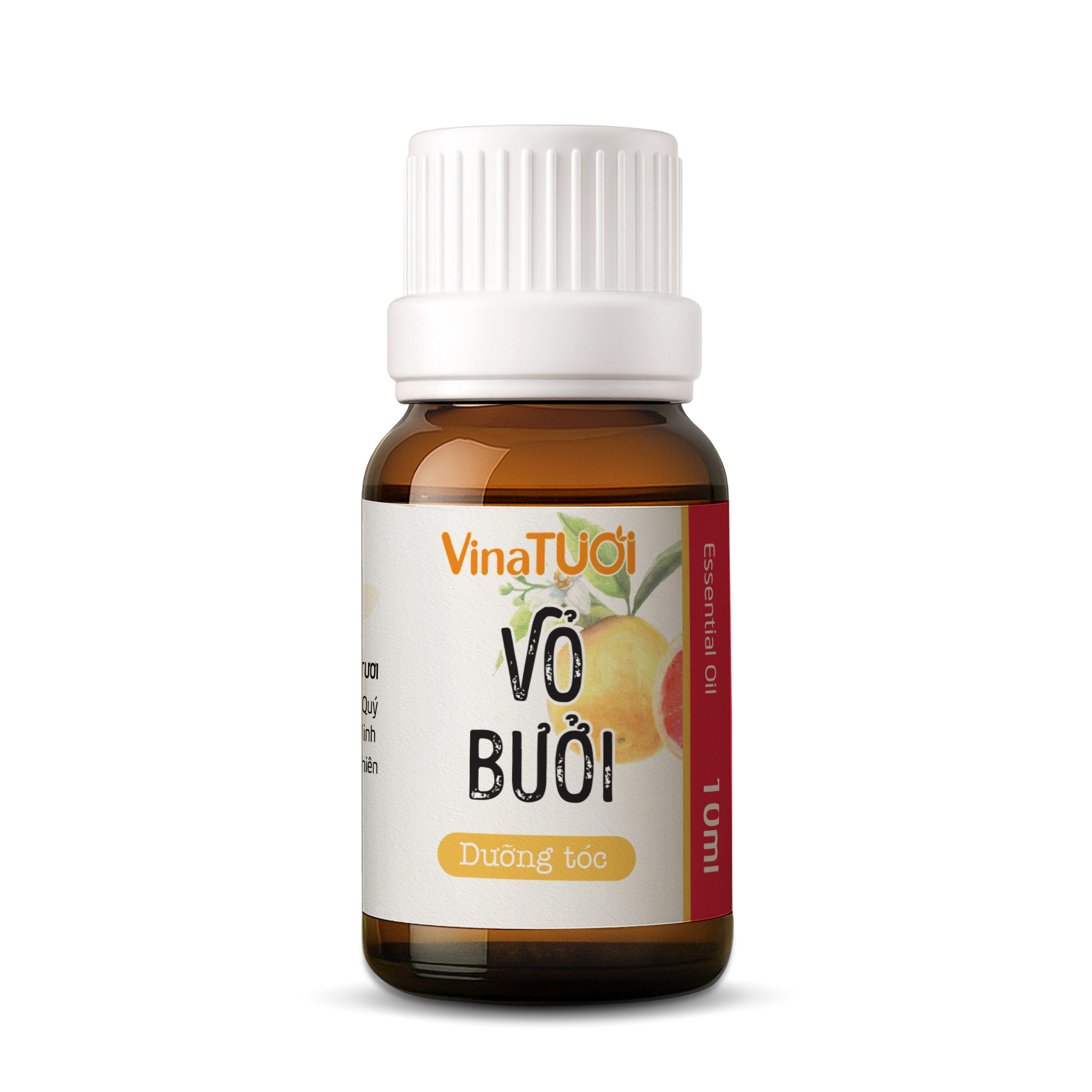 VB.png