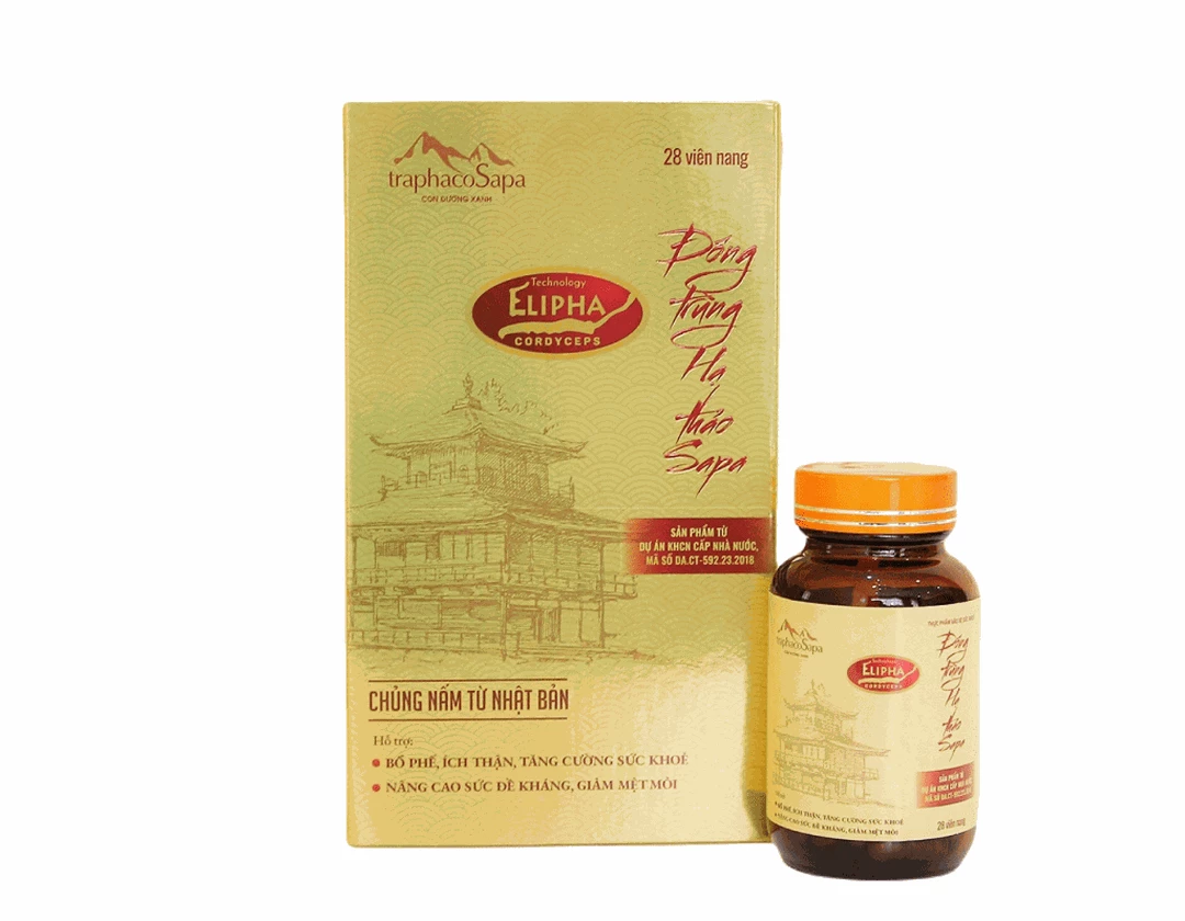 đông trùng hạ thảo.webp