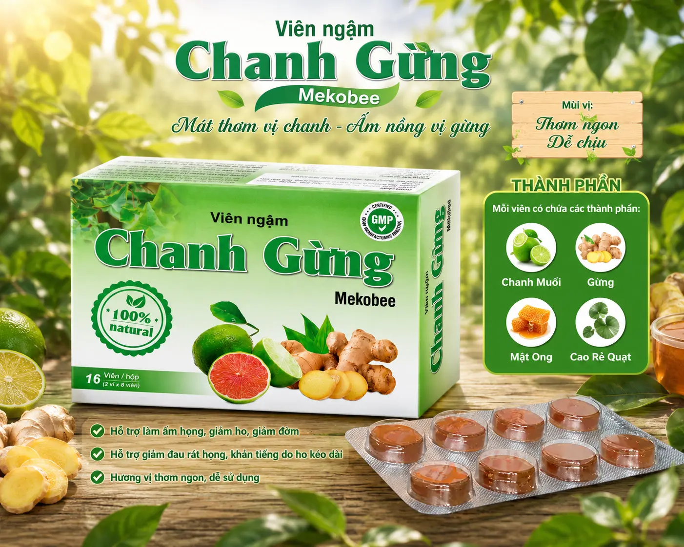 Vien-Ngam-Chanh-Gung-hop-24-vien-.webp