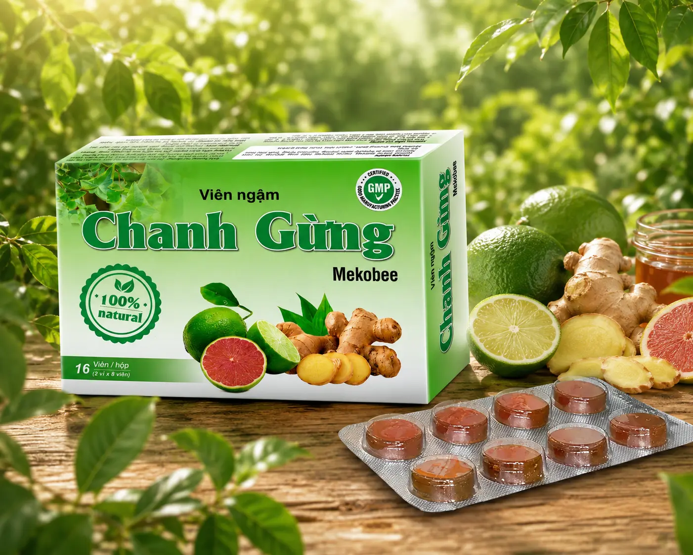 Vien-Ngam-Chanh-Gung-hop-24-vien-.webp