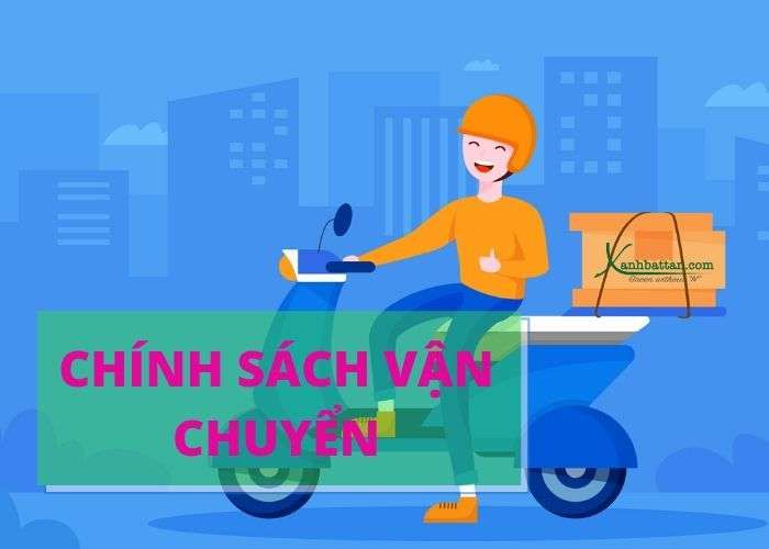 CHÍNH SÁCH VẬN CHUYỂN