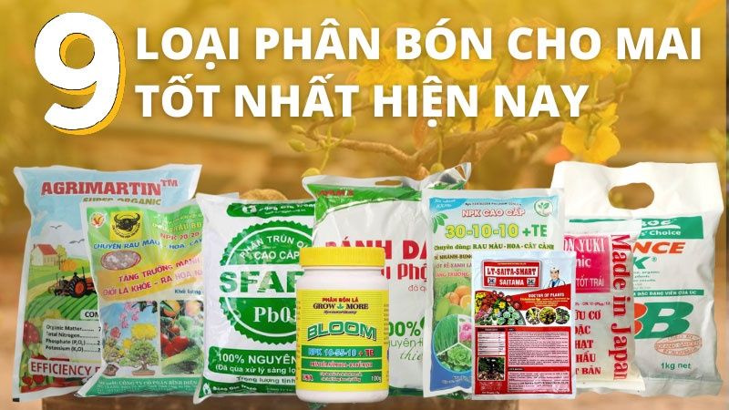 Tops 09 Phân Bón Cho Mai Vàng Tốt Nhất Hiện Nay