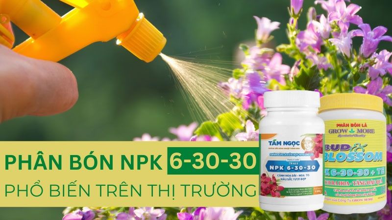 Phân Bón NPK 6-30-30: Công Dụng Và Cách Sử Dụng