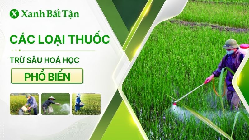 Các loại thuốc trừ sâu hóa học