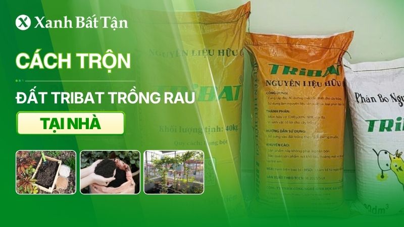 Cách trộn đất Tribat trồng rau tại nhà - Xanh Bất Tận