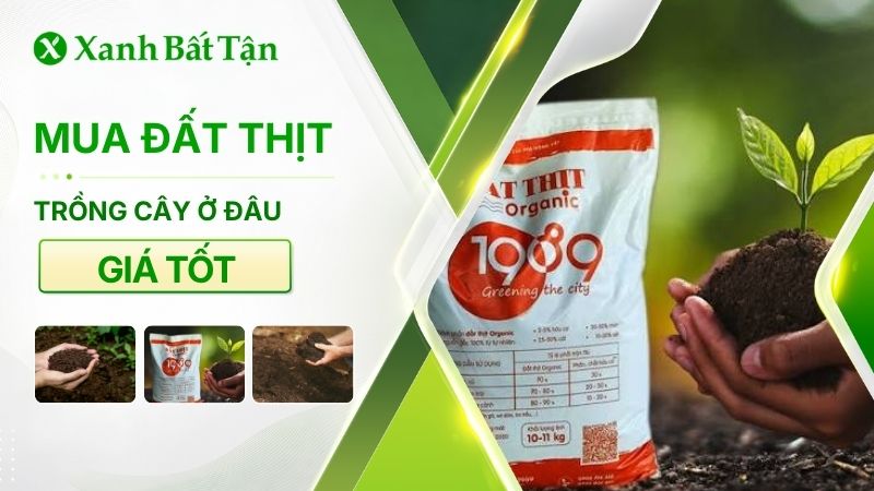 Đất thịt trồng cây mua ở đâu tại TPHCM giá tốt