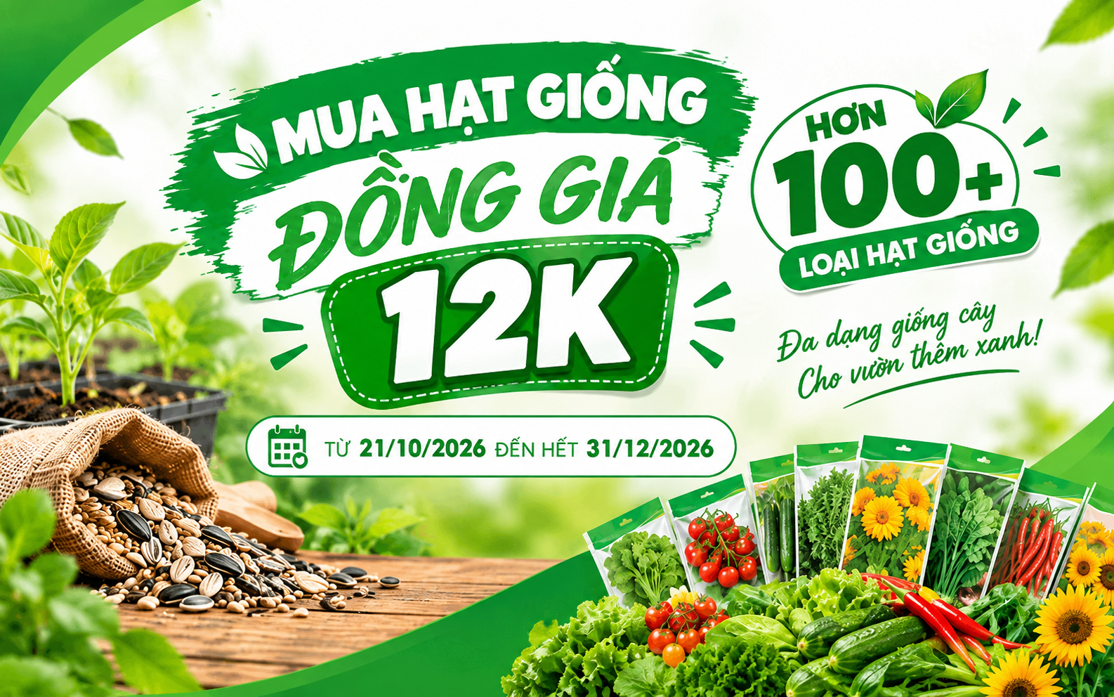 HẠT GIỐNG ĐỒNG GIÁ 12K – TRỒNG CÂY THẢ GA, TIẾT KIỆM TỐI ĐA