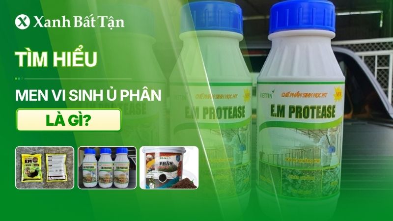 Men ủ phân là gì