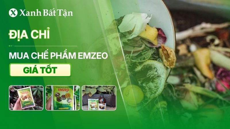Mua Emzeo khử mùi hôi tại TPHCM