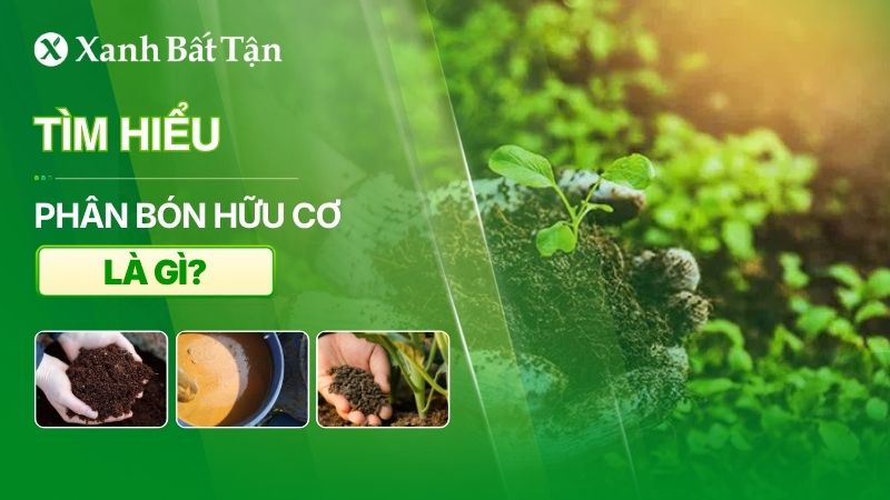 Phân bón hữu cơ là gì