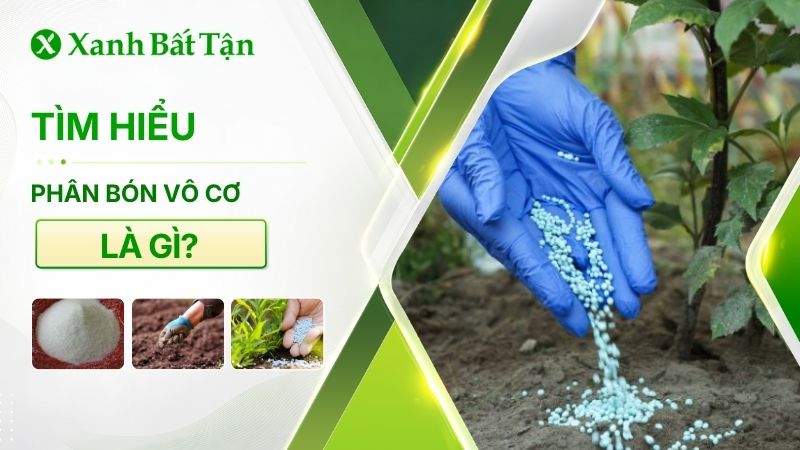 Phân bón vô cơ là gì?
